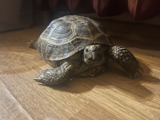 WhatsApp Image 2025-09-21 at 16.29.41_3ee0d1e5.jpg