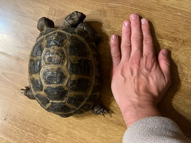 WhatsApp Image 2025-09-21 at 16.29.41_9f495cb6.jpg