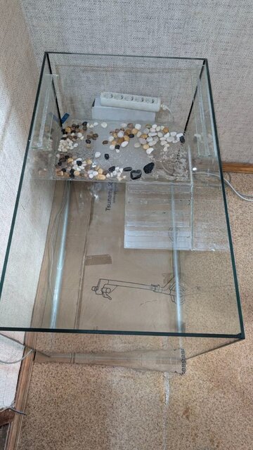 photo_2025-09-10_16-55-31 (2).jpg