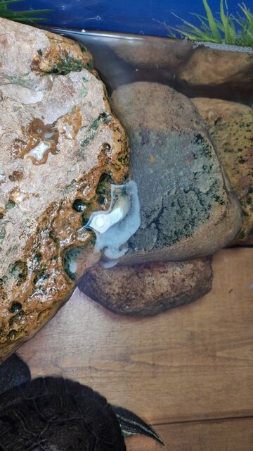 photo_2025-09-27_20-27-40 (2).jpg