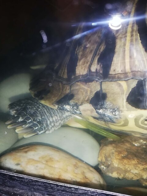 Airbrush-Image-Enhancer-1761007541132 (1).jpg